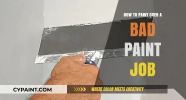Fixing Flaws: Expert Tips to Paint Over a Bad Paint Job