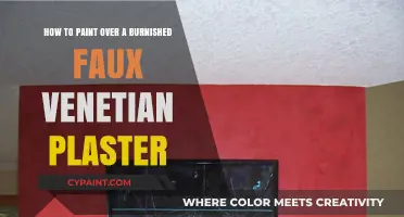 Transform Burnished Plaster with Paint: A Step-by-Step Guide