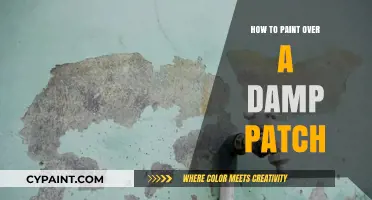 Fix Damp Patches: A Step-by-Step Guide to Painting Over Moisture