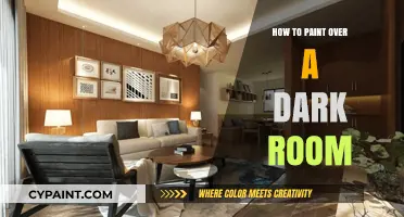 Brighten Dark Spaces: Tips for Painting Over a Dark Room