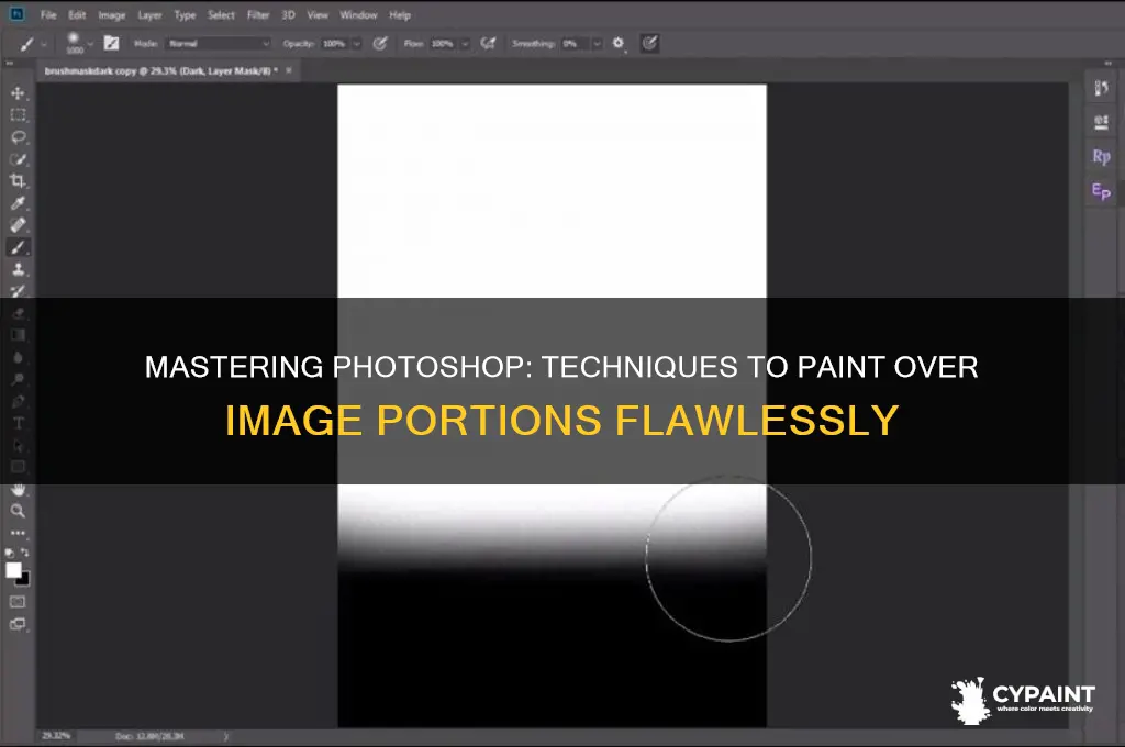 how to paint over a portion of image photo shop