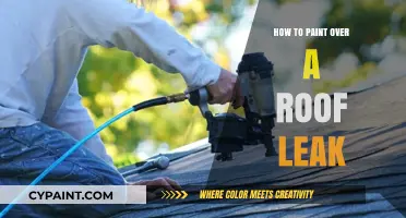 Fixing Roof Leaks: A Step-by-Step Guide to Painting Over Damage