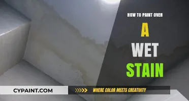 Quick Fix: Painting Over Wet Stains Without Smudges or Streaks
