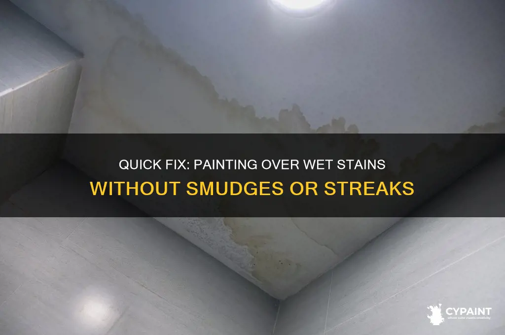 how to paint over a wet stain