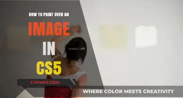 Mastering CS5: Techniques to Paint Over Images Seamlessly