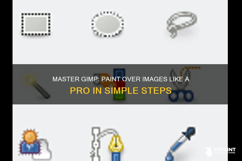 how to paint over an image in gimp