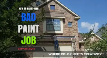 Fixing Flaws: Expert Tips to Paint Over a Bad Paint Job