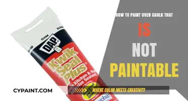Caulk Painting: Making the 'Unpaintable' Paintable