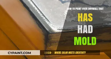 Eradicating Mold: Painting Over Drywall the Right Way