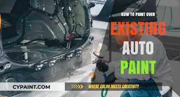 Revamp Your Ride: A Guide to Painting Over Existing Auto Paint