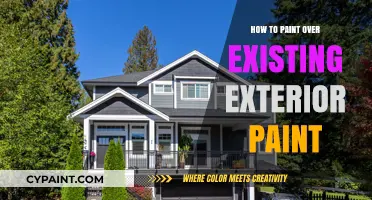 Revitalize Your Home: A Guide to Painting Over Exterior Paint