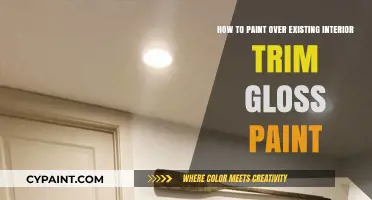 Transforming Glossy Trim: Painting Over Gloss Paint