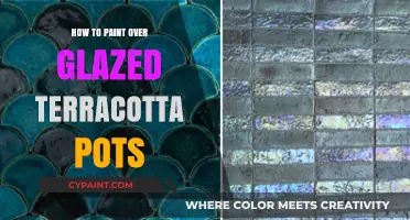 Revamp Your Garden: Painting Over Glazed Terracotta Pots Made Easy
