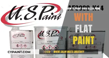 Transforming Glossy to Flat: Painting Over Gloss Paint
