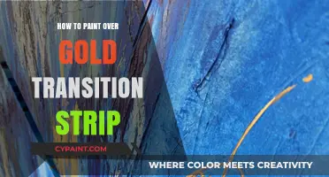 Painting Over Gold Transition Strips: A Step-by-Step DIY Guide