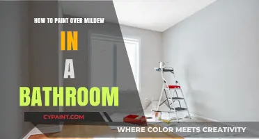 Effective Steps to Paint Over Bathroom Mildew and Prevent Recurrence