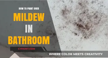 Effective Steps to Paint Over Mildew in Your Bathroom
