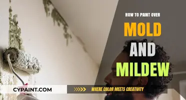 Effective Techniques for Painting Over Mold and Mildew Safely