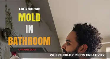 Effective Steps to Paint Over Bathroom Mold Safely and Permanently