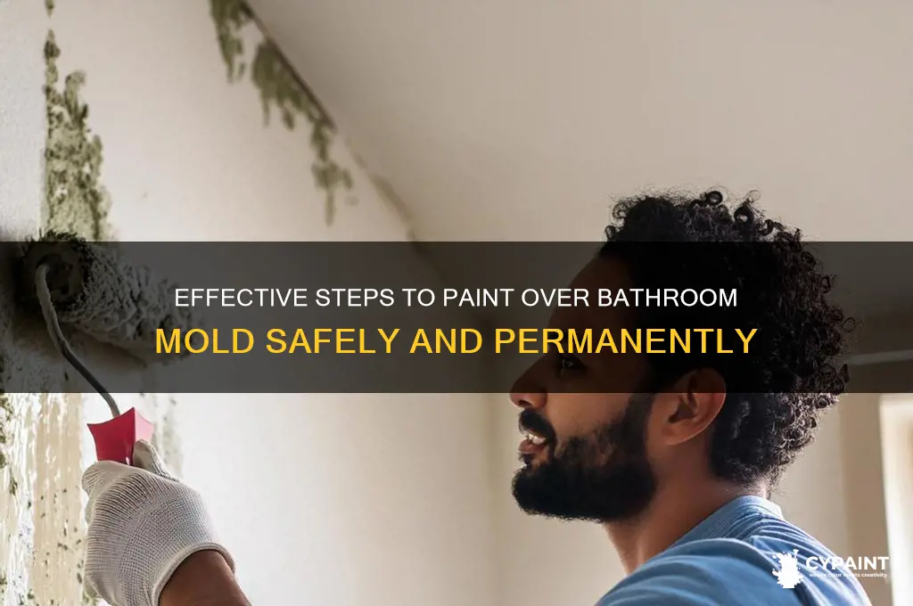 how to paint over mold in bathroom