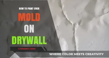Safely Paint Over Mold on Drywall: Step-by-Step Guide