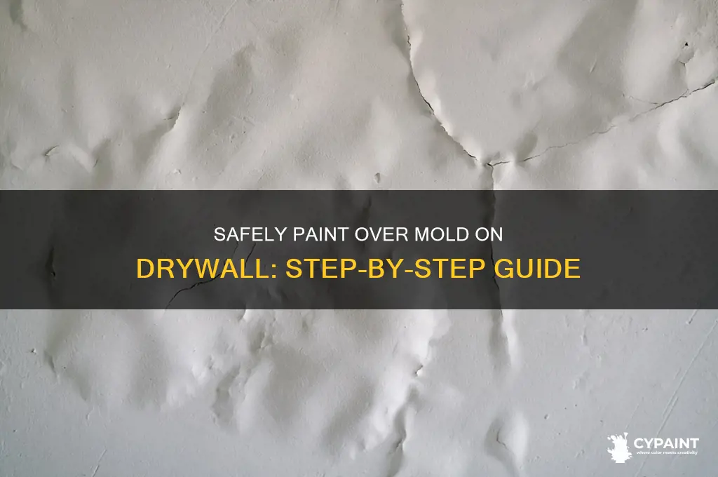how to paint over mold on drywall