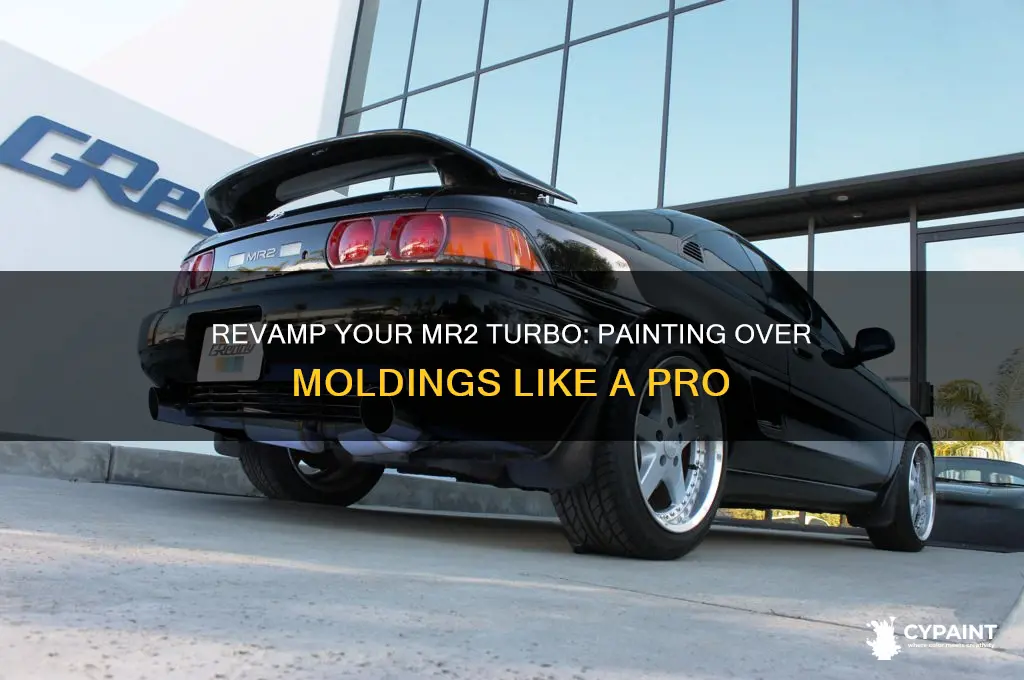 how to paint over mr2 turbo moldings