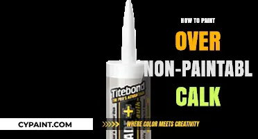 Mastering the Art: Painting Over Non-Paintable Caulk Seamlessly