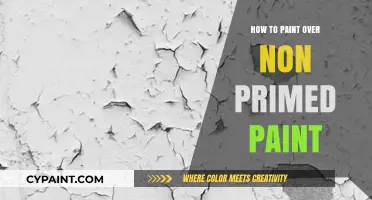 Painting Over Non-Primed Walls: A Step-by-Step Guide for Smooth Results