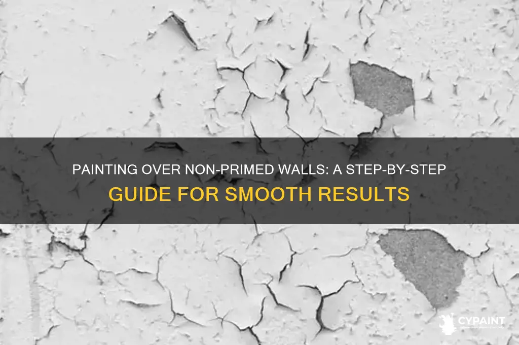 how to paint over non primed paint