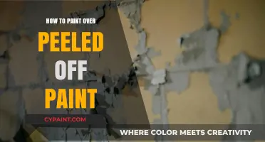 Revive Your Walls: Expert Tips for Painting Over Peeled Paint