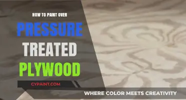 Painting Pressure Treated Plywood: Step-by-Step Guide for a Smooth Finish