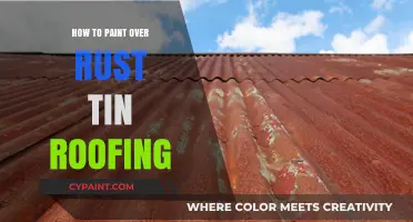 Revive Your Rusty Roof: A Guide to Painting Tin Roofing