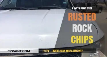 Revive Your Car: Painting Over Rusted Rock Chips Like a Pro