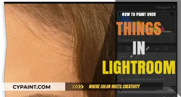 Mastering Lightroom's Brush Tool: Paint Over Objects Like a Pro