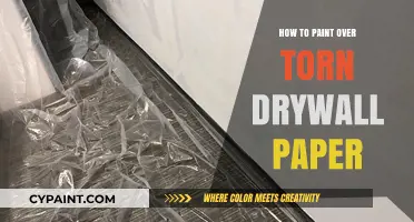 Repair and Refresh: Painting Over Torn Drywall Paper Like a Pro