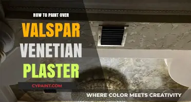 Mastering the Art of Painting Over Valspar Venetian Plaster