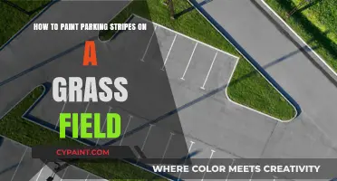 Painting Parking Stripes: Transforming Your Grass Field