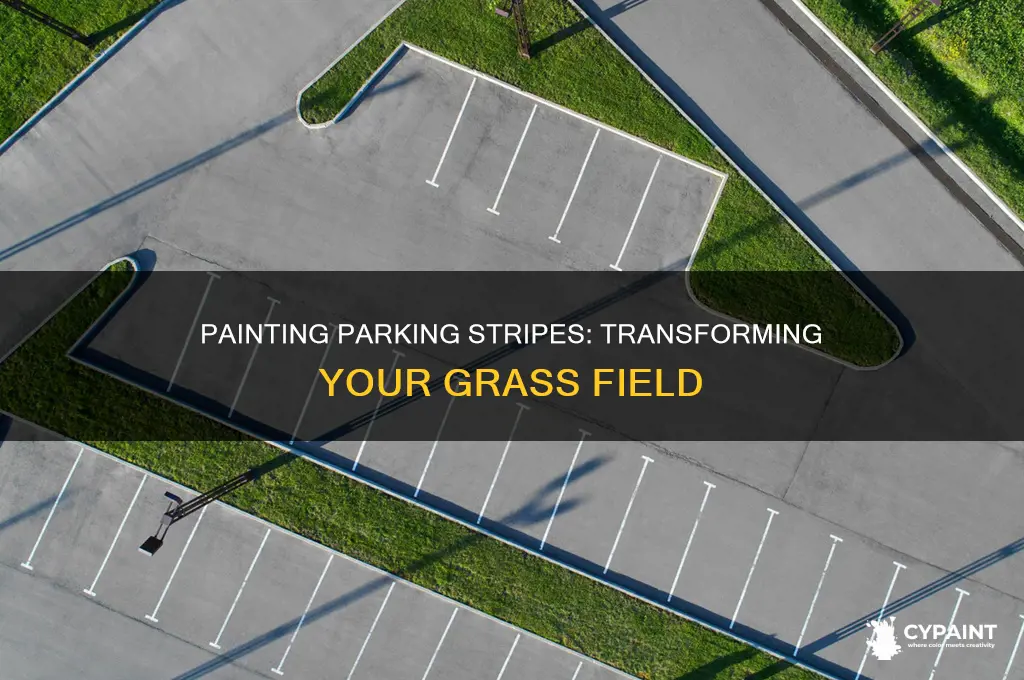 how to paint parking stripes on a grass field