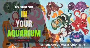 Aquarium Painting Guide: Tips for Decorating Your Tank's Parts