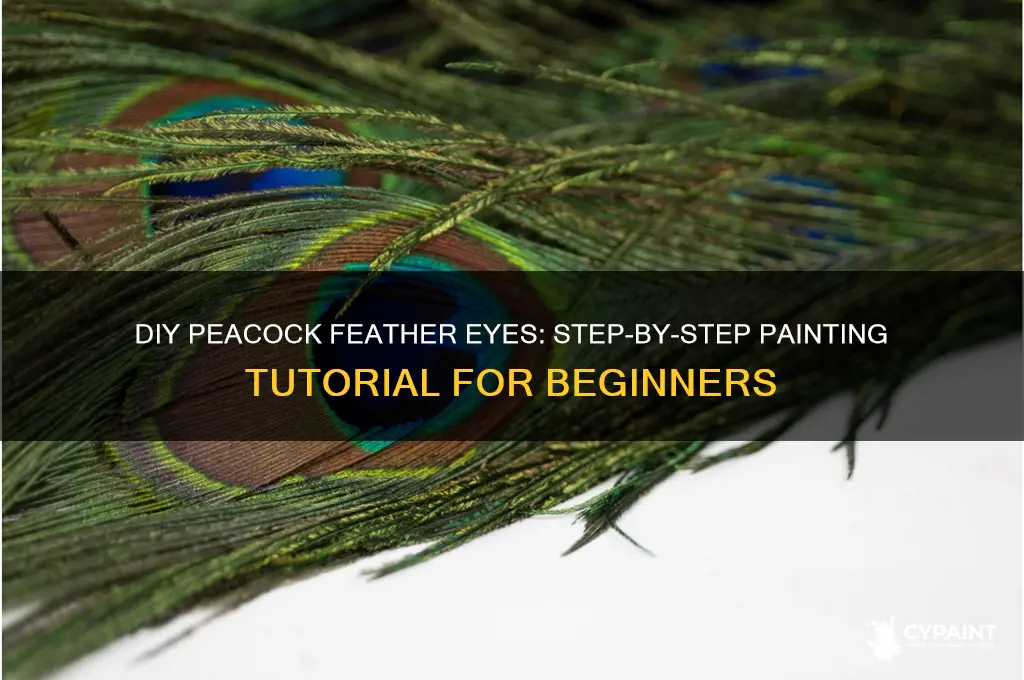 how to paint peacock feather eyes diy