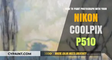 Capturing Art: Painting with Your Nikon Coolpix P510