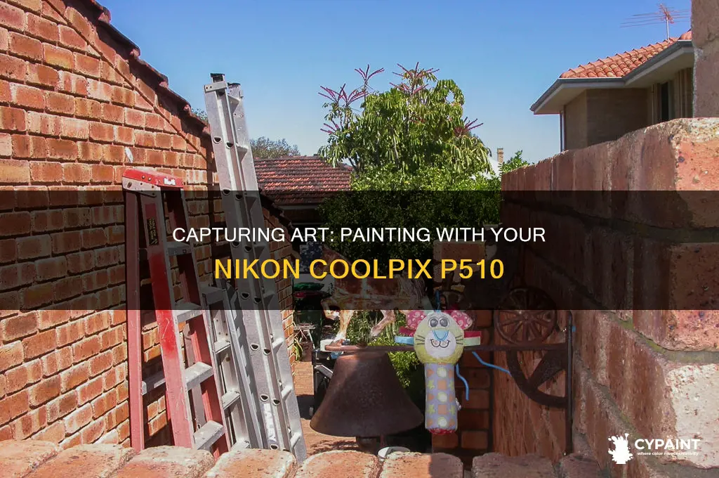 how to paint photograph with your nikon coolpix p510