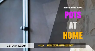 Creative DIY Guide: Painting Plant Pots at Home Easily