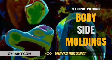 Painting Pre-Primed Body Side Moldings: A Step-by-Step Guide