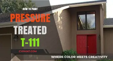 Mastering T-111: A Guide to Painting Pressure-Treated Siding