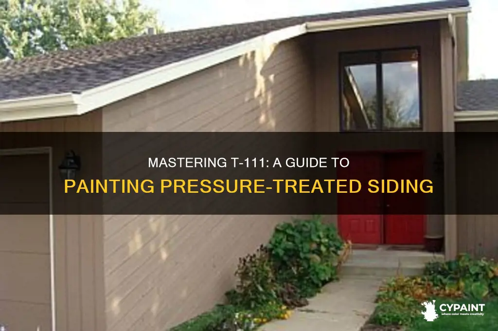 how to paint pressure treated t-111