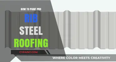 Mastering Pro Rib Steel Roofing Painting: Tips and Techniques for a Flawless Finish