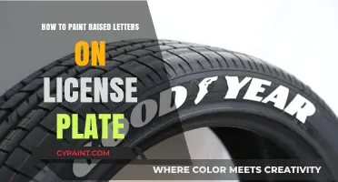 Mastering Raised Letter Painting on License Plates: A Step-by-Step Guide