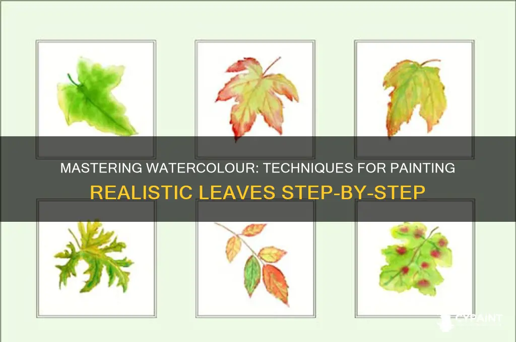 how to paint realistic leaves in watercolour